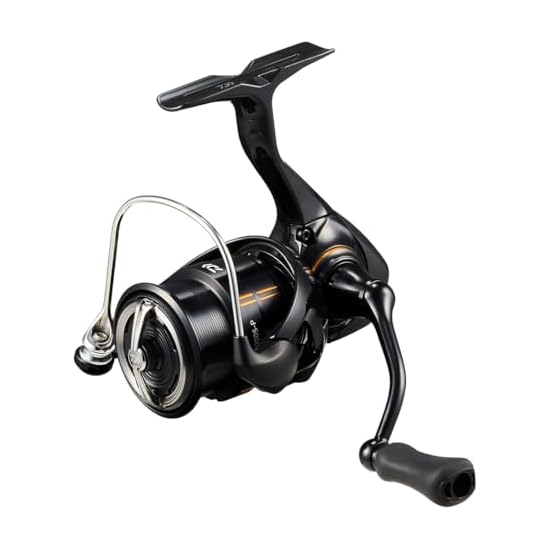 DAIWA Spinning Reel 25IPRIMI LT2000S-P