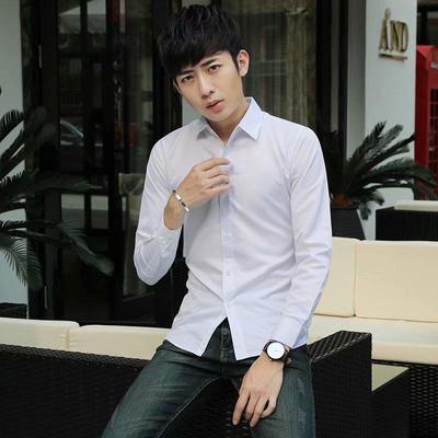 Men's Slim Fit Non-Iron Long Sleeve White Shirt - Solid Color, Spring/Autumn, Youth Style