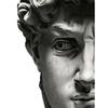 Famous Painting Funny David Portrait Sculpture Canvas Paingtings Wall Art Living Room Bedroom Mural Decorative Poster and Prints