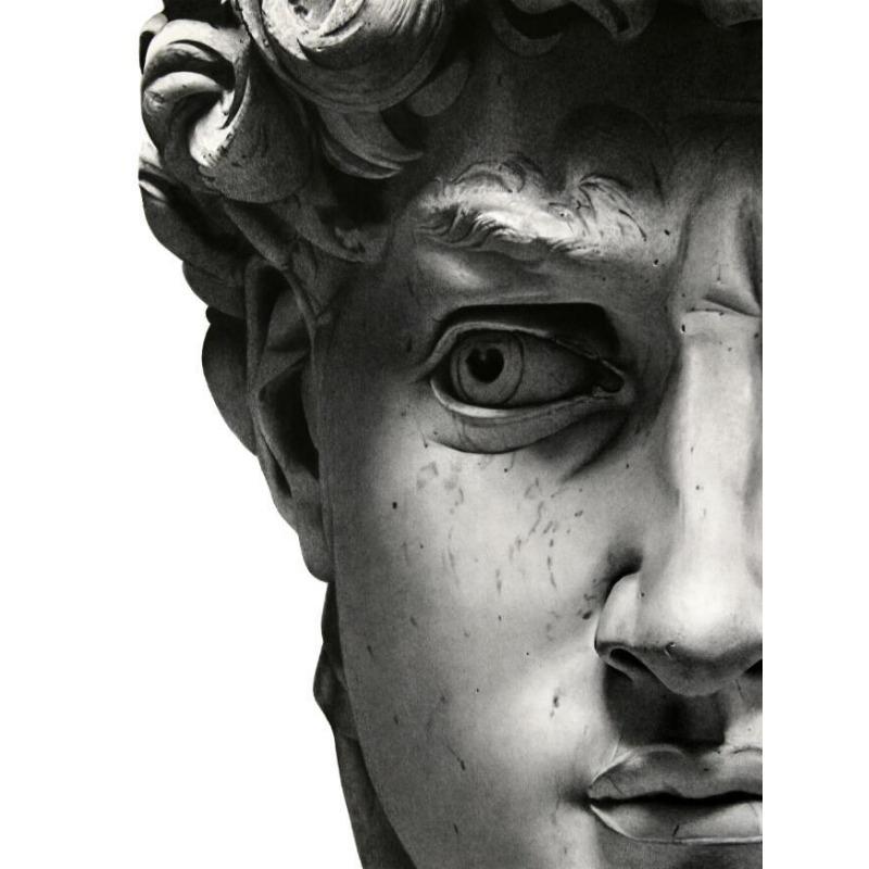 Famous Painting Funny David Portrait Sculpture Canvas Paingtings Wall Art Living Room Bedroom Mural Decorative Poster and Prints