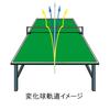 Sakurai Calflex Table Tennis Ping Pong Machine with 8 Spin Functions and Adapter, CTR-18S
