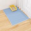 Extra Large Double-Layer Cat Litter Mat - Anti-Tracking, Anti-Splash, Sand Control for Pets