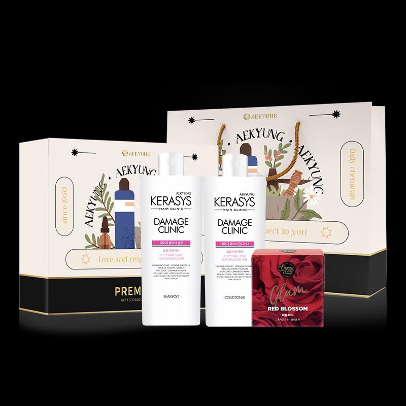 Aekyung KeraSys Damaged Hair Repair Gift Set