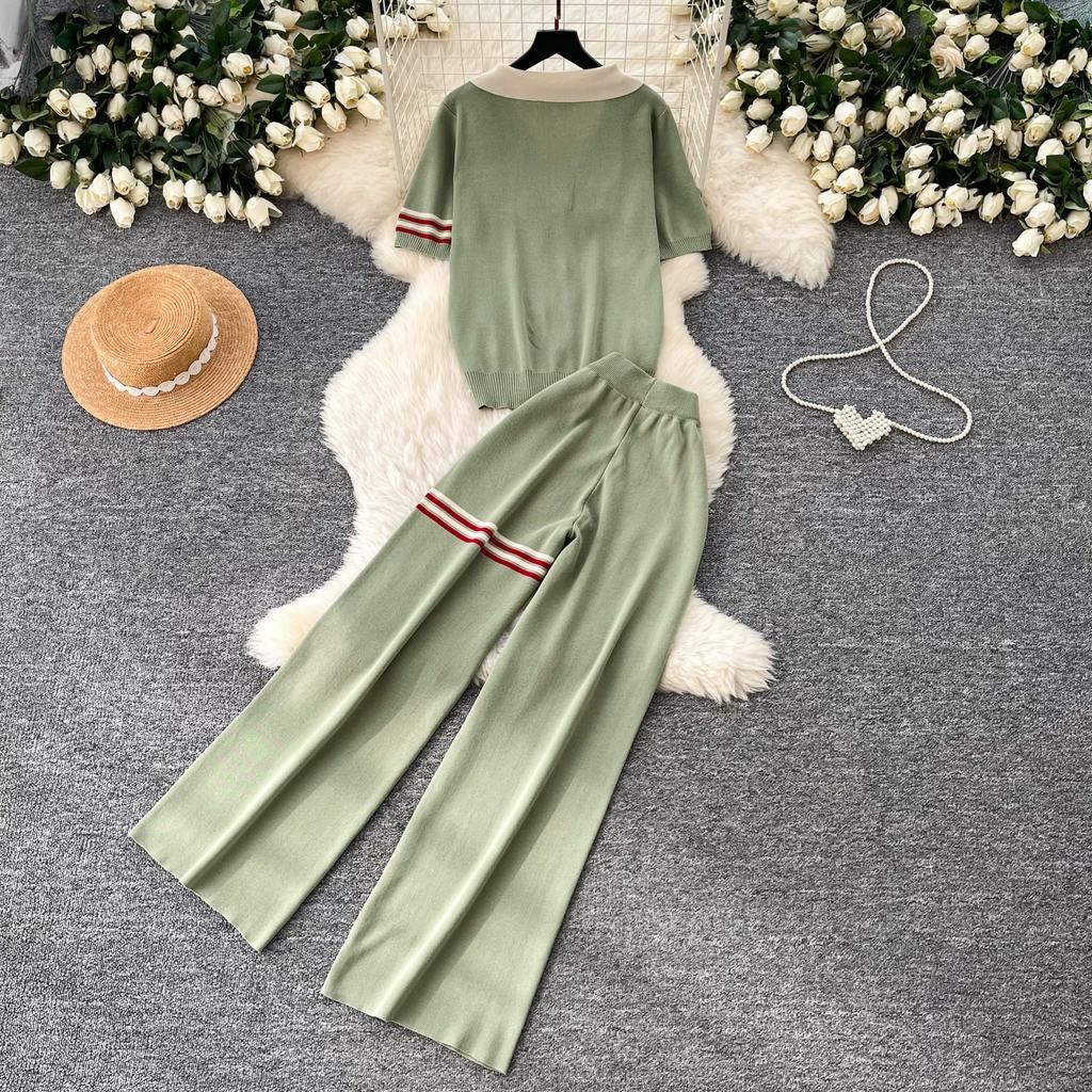 Lässiges Strick-Set mit süßem Welpenmotiv für Damen, Sommer, Umlegekragen Pullover-Top und Weitbeinige Hosen, Zweiteiliges Set für Damen