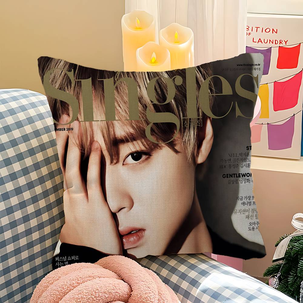 Korean P-PARK JI HOON Cushion Cover Pillowcase Upholstery Sofa Throw Pillow Home Decor Pillowcas