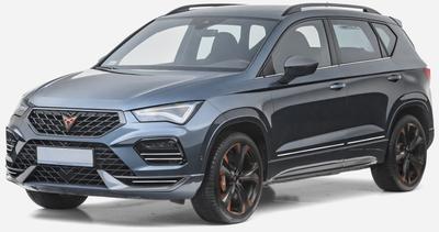 Seat Ateca - Chrome Side Door Strips