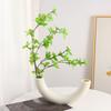 Vase Versatile Arc-Shaped Decorative Vase Bedroom Floral Arrangement Vessel Living Room Home Office Decor