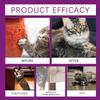 Cat Calming Spray Mood Soothing Emotions Calming Howling Prevention Stop Dog Scratching Reduce Anxiety Pet Anti Anxiety 60ML