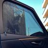 CGP Mesh Front Doors for Driver and Passenger for Toyota Alphard 40 Mesh Car Set of 2 Custom-Designed Sunshades, Full-Size Seats, Series, Curtains,