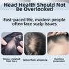 Multi-Function Mini Portable Head Applicator Anti-Frizz Massage Guide Liquid Comb  Gift