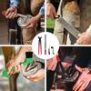 Hipism – Produse de îngrijire a cailor