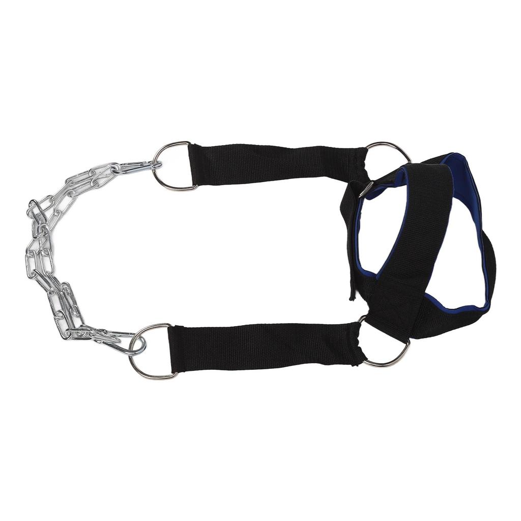Neck Harness Increase Core Strength Support Injury Recovery Neck Exerciser for Home Gym Blue Black