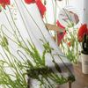 Vallmoblommor Röda Blommor Vita Skira Gardiner Vardagsrumsfönster Tyllgardiner För Sovrum Kök Hemdekoration Voile Draperier