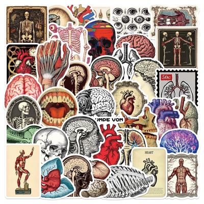 50 Retro Dissection Organ Waterproof Stickers Car Stickers Luggage Trolley Case Popular Graffiti Stickers