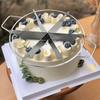 Stainless Steel Cake Cutter Slicer Pizza Pie Cutter 6/7/8 Equal Portion Marker Round Bread Divider Pastry Cheese Pizza Cutter