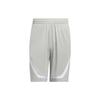 SS23 Basketball Shorts Men's Metallic Gray IC2432