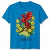 St Davids Day Welsh Flag Dragon Daffodil Wales Festival T Shirt Unisexs Kids Unisex