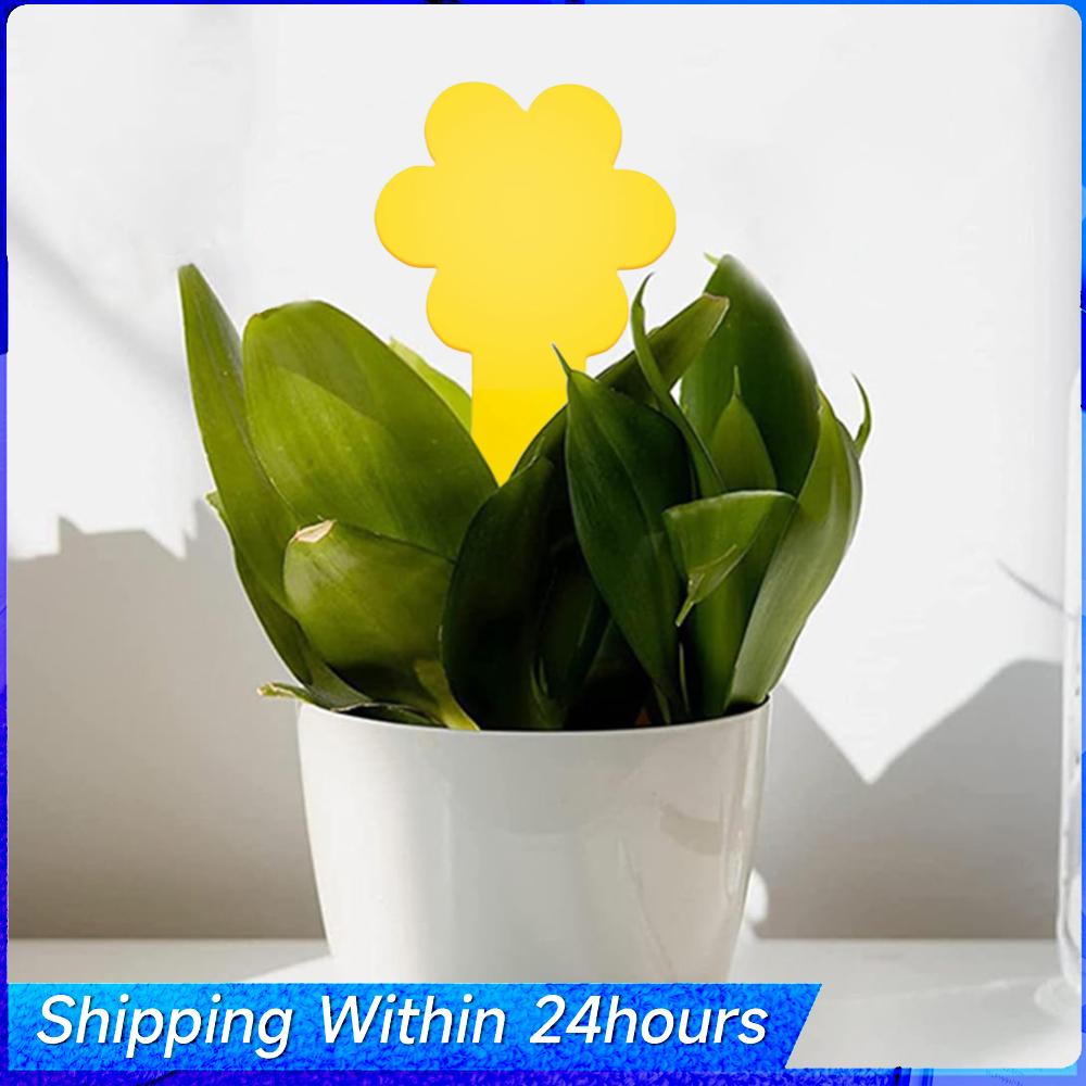 

30Pcs Fungus Gnat Traps Non-Toxic and Odorless Yellow Sticky Bug Traps Flycatcher Sticker Plate Trap for Garden Plant Protection China Mainland