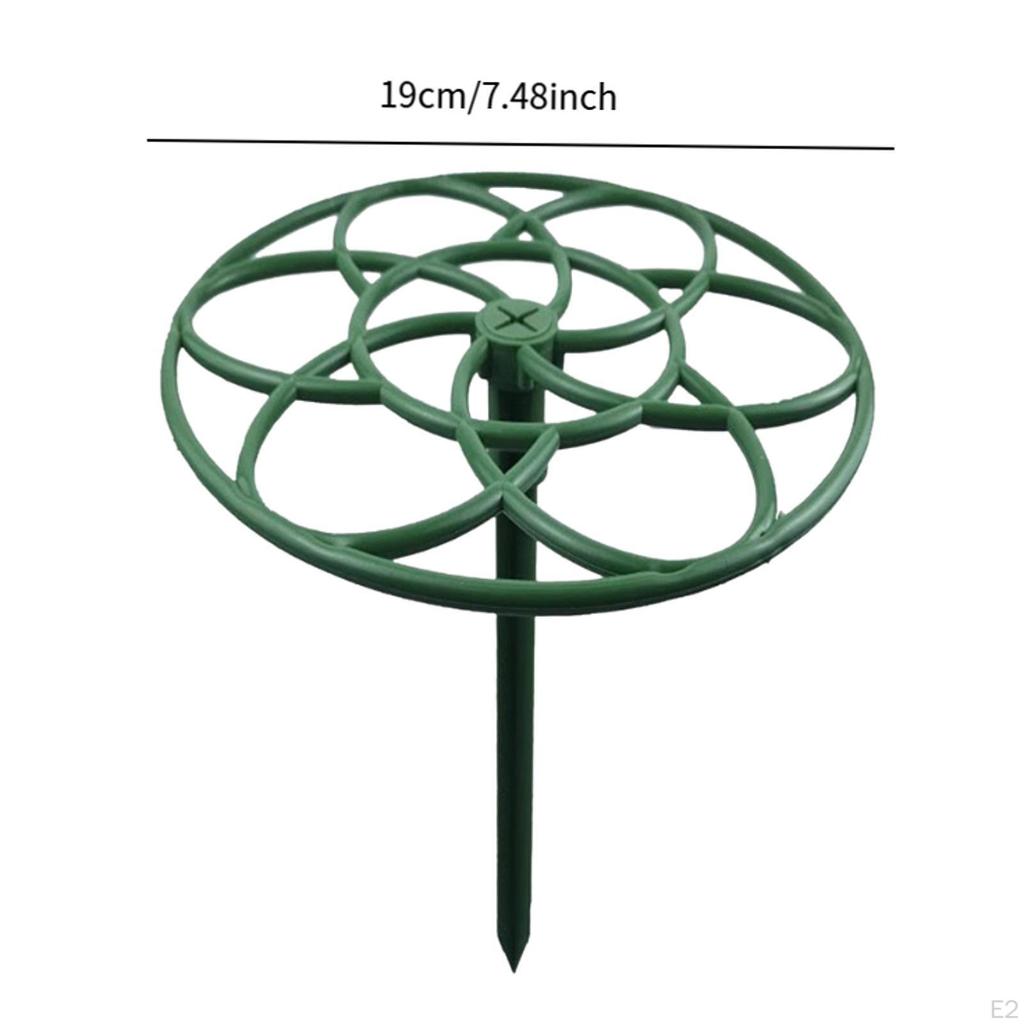 10 Pieces Plant Support Brace Round Garden Trellis