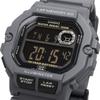 Casio Sports Gear Digital Men's Watch 60 Lap Memory Function Gray Black Reverse LCD