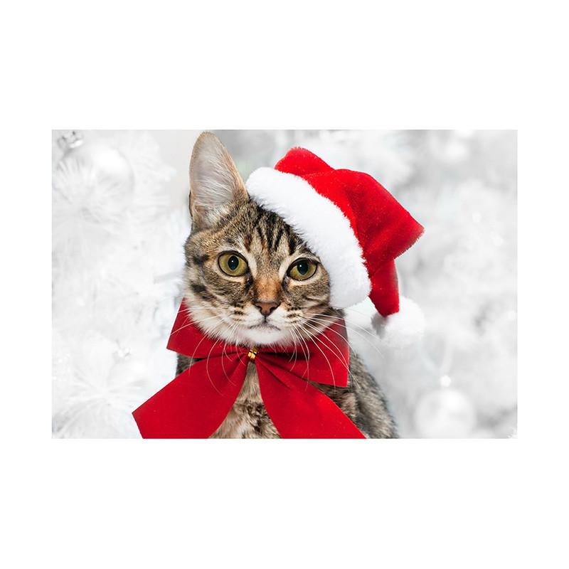 Pet Themed Christmas Photography Backdrop,Party Banner,Wall Decor,for Parties Backdrops,Holiday Decor,Photo Studio