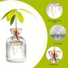 Kit per la Coltivazione dell'Avocado - Vaso Germinatore in Vetro per Amanti del Giardinaggio, Unico Fioriera Idroponica Regalo
