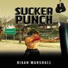 Sucker Punch by Riaan Marshall Paperback Book 9781035898756