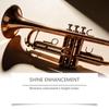 Trompet Trombone Messinginstrument Plejeolie Langvarig Smøremiddel til Rengøring og Vedligeholdelse Daglig Øvelse og Prøve