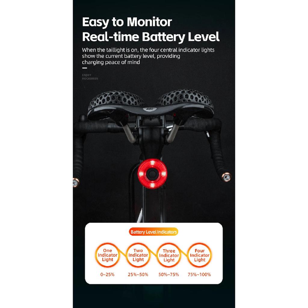 ROCKBROS Smart Bike Tail Light Bicycle Rear Lights IPX6 Waterproof Bike Lights for Night Riding with Type C Rechargeable