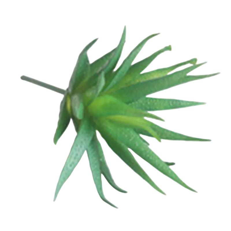 

Elegant Accessories Creative Decor Indoor Decoration Creative Plant Accessory Unique Aesthetic Versatile Decor