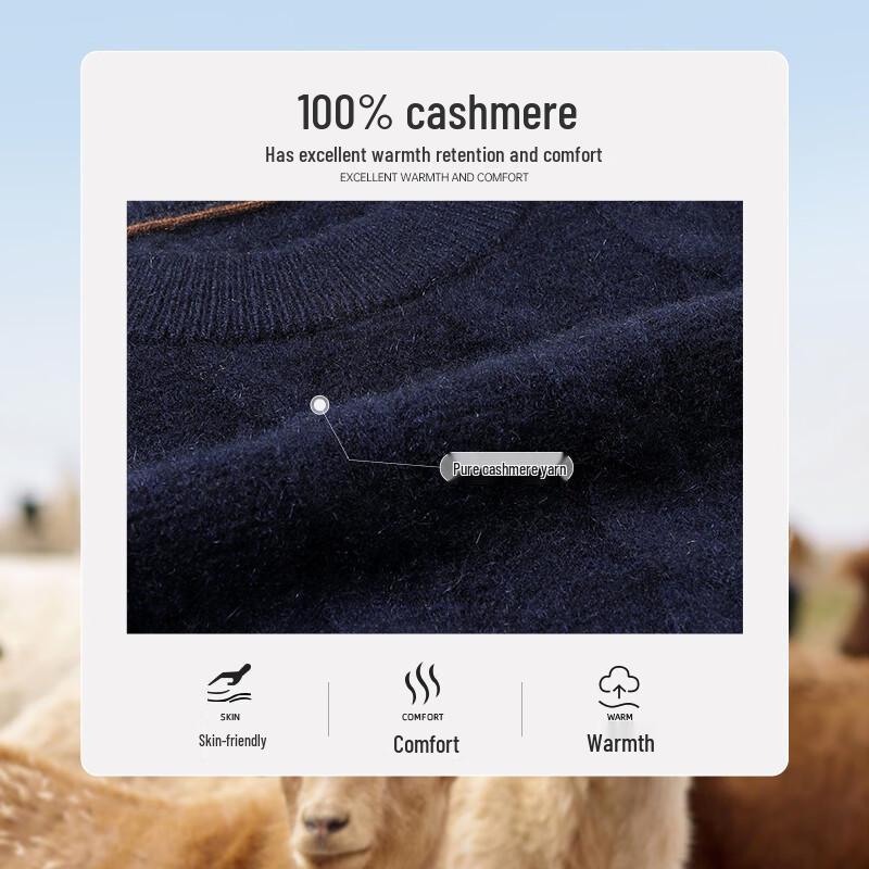 Shanshan Men's 370g Mid-weight Cashmere Crew Neck Sweater