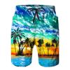 3D Digital Printed Men's Beach Shorts Hawaiian Camouflage Style Loose Casual Shorts