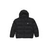 Nike ACG Logo Printed Hooded Padded Jacket Unisex Black DH3071-011