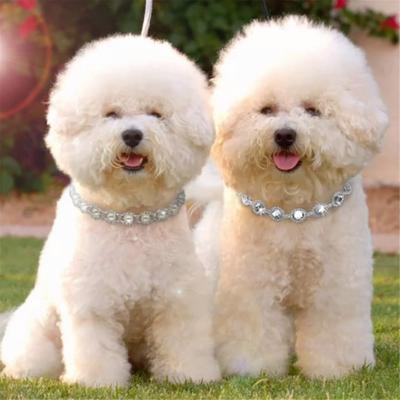 Rhinestone Bling Dog Necklace Collar Jewelry Pearl Diamond Pet Puppy Cat Necklaces For Small Dogs Mascotas Accessories