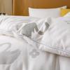 Autumn/Winter Thickened Goose Down Cotton Quilt - Double 200x230cm, Skin-friendly and Warm