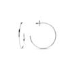 Rhodium-plated Luxenter Earrings - Erkang