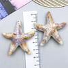 New Acrylic Ocean Conch & Starfish Pendant Charm for DIY Bracelets & Necklaces