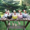 Patio Yard Lawn Decoration Polyresin Rooster Ornaments Home Decor Big-eyed Chicken  Outdoor