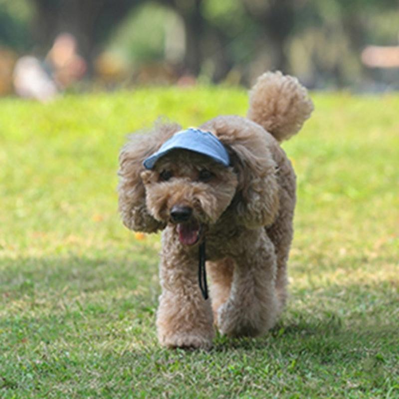 Cappellino Stiloso per Cane 4 Misure Disponibili Design Traspirante Cappellino Parasole per Animali Domestici Ideale per Passeggiate Quotidiane e Giochi Spiaggia