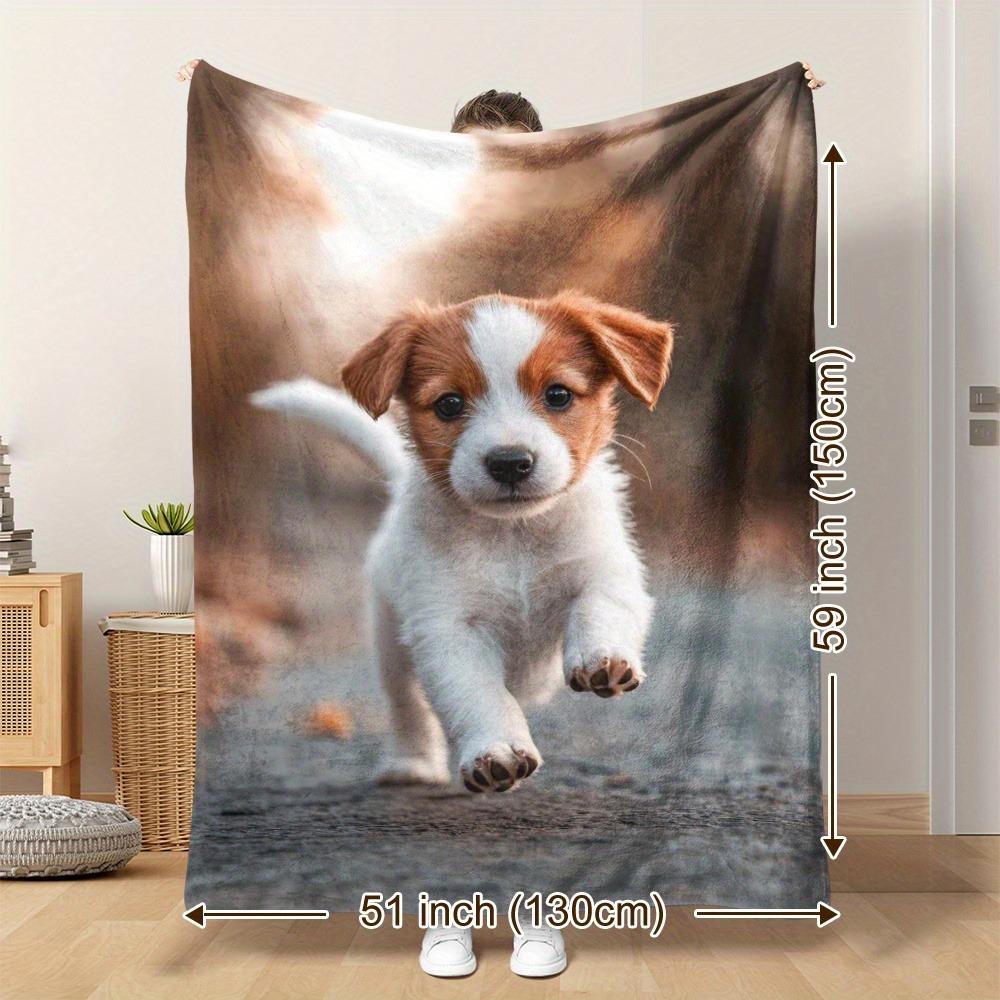 Cute Husky Pattern Throw Blanket, Pet - Lovers Home Decor Blanket