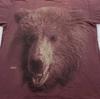 Vintage 90s GRIZZLY BEAR T-Shirt XL Nature Animal