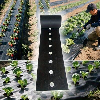 [Black Control Mulch Film] 1pc, Black Agricultural Control Mulch Film, 60cm 10m (23.6inch 33.7inch), Pre-Punched Holes For Gardening Planting, Barrier