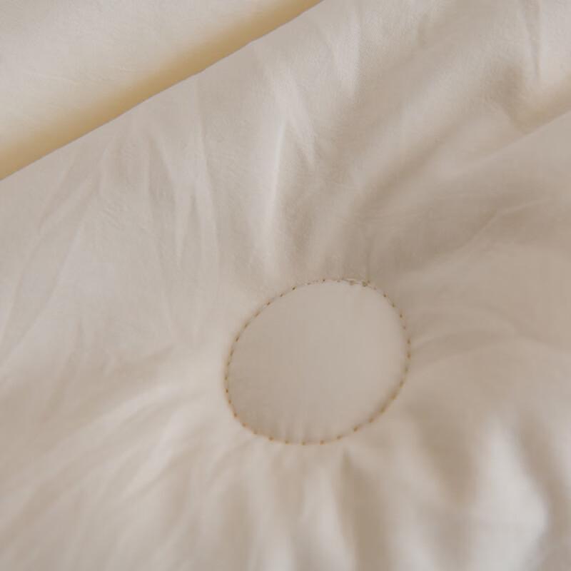 ROMROL Warm Soy Fiber Winter Quilt