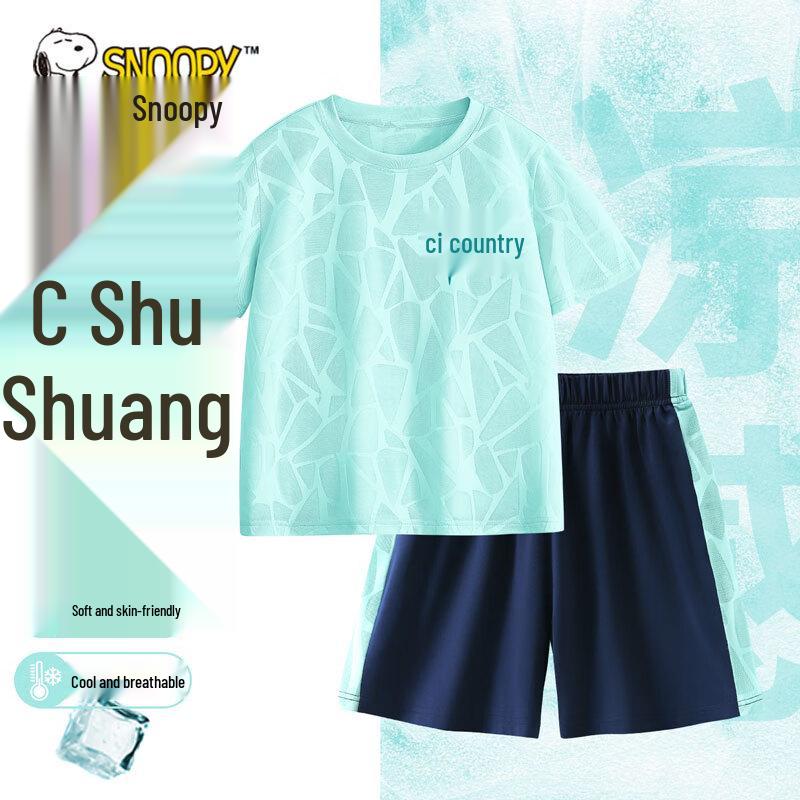 Snoopy Boys Quick-Dry Mesh Short Sleeve Shorts Set 120