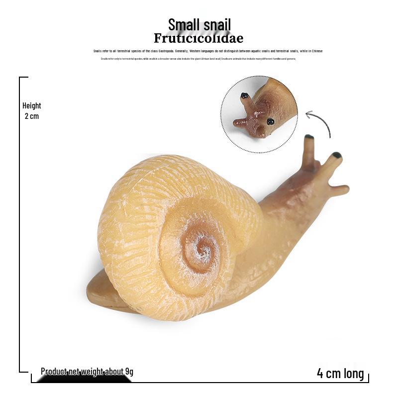 Children s Learning Aid: Animal Growth Cycle Models - Snail, Ant, Sea Turtle, Rooster