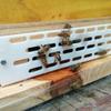 High Quality Bees Queen Hive Equipment Prevent Spacer Frame Anti Escape Beekeeping Tool 10Pcs