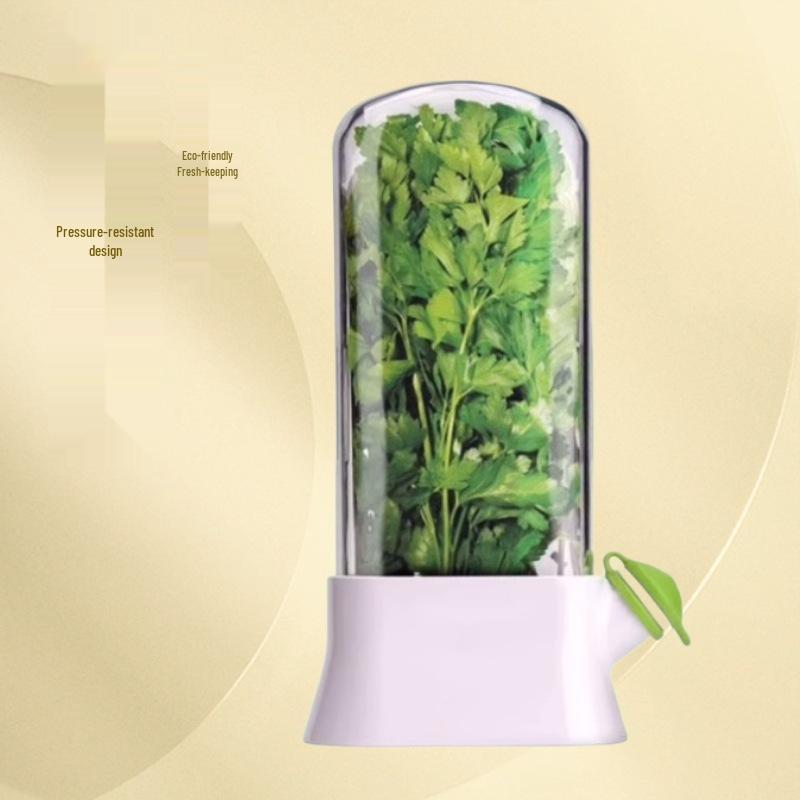 Creative Anti-Crush Fresh-Keeping Box for Vegetables & Cilantro