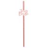12Pcs Team Bride Straws Letter Design Rose Golden Gilding Straight Photo Props Bachelorette Party Straws for Party