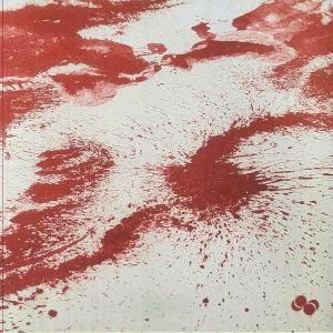 12-дюймовая пластинка SEBA PARADOX In The Air SP006 SEBA PARADOX 2024 UK Dance Electronica