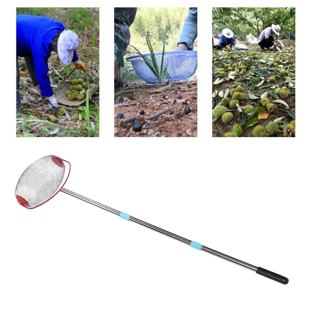 Rolling Nut Gatherer Stainless Steel 44.7 Inch 3 Section Multifunctional Acorn Picker Upper Roller for Pecans Walnuts Outdoor